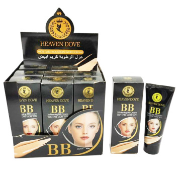 Fábrica Al por mayor Corea BB Cream 120 ml Corrección de color Corrector Fundación de maquillaje