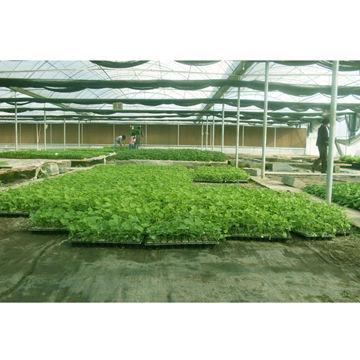 PP Ground Cover for Green House
