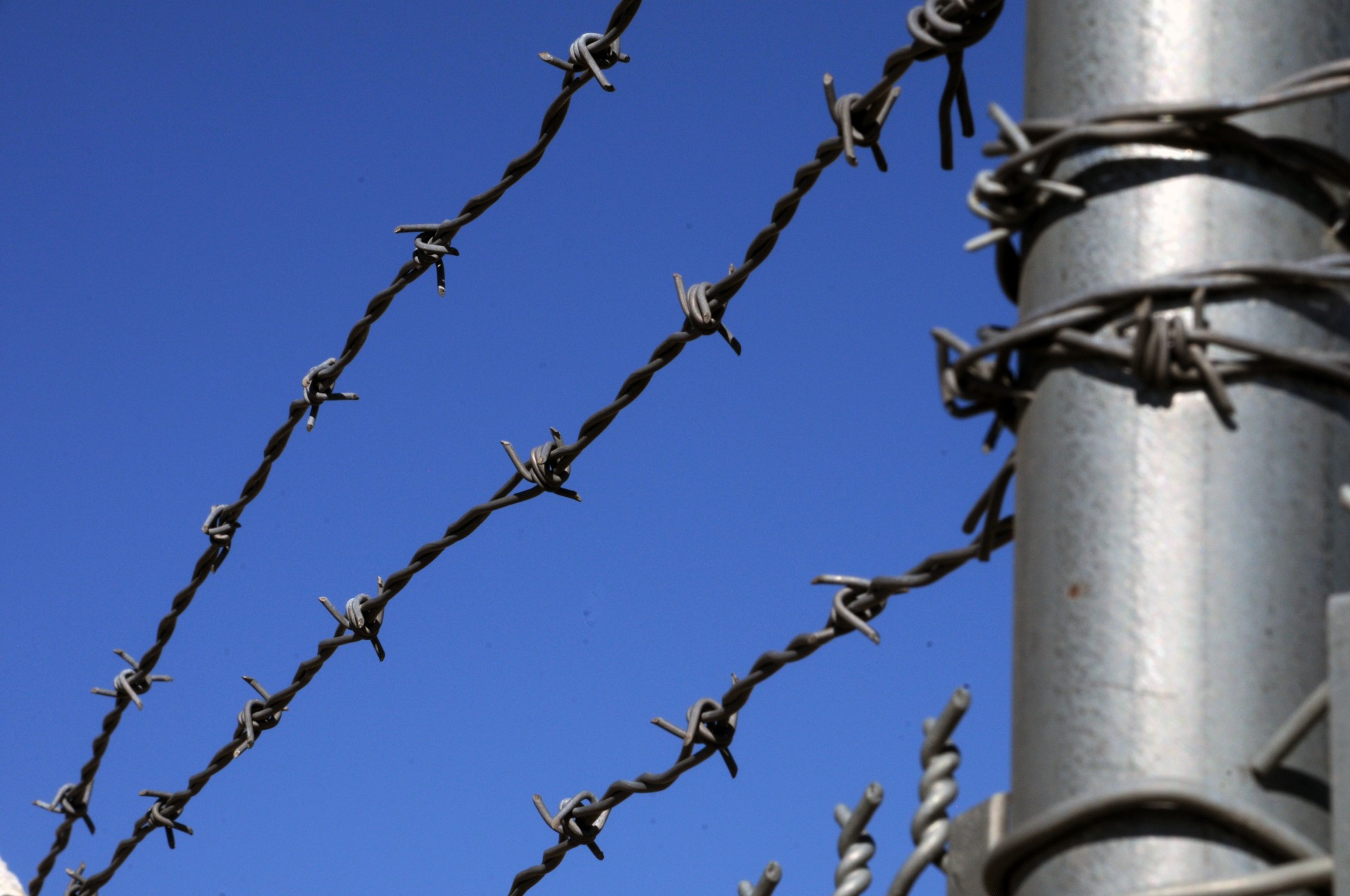 barbed wire5