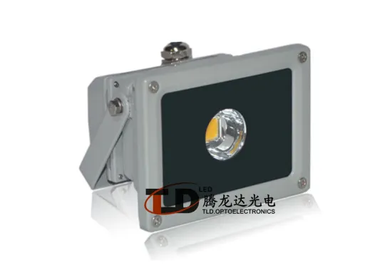 Waterproof 10w 1000lm Led Projector Lights For Gymnasium Ce / Rohs