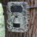 Wildlife 1/2 Second Trigger Time Trail Camera