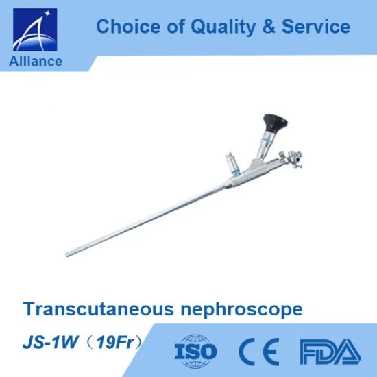 JS-1W(19Fr)Transcutaneous Nephroscope Instruments CE ISO FDA
