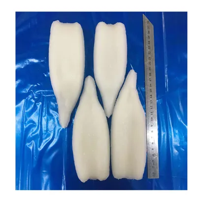 high quality frozen squid price squid tube u4,gaint squid tube u5,high quality frozen squid tube u3