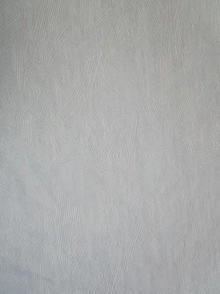 Wholesale Curtains Voile Curtain Sheer