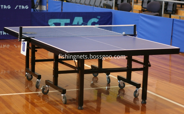 pingpong net on table