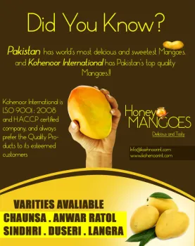Fresh Mangoes