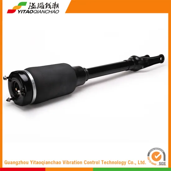 2016 International Standard Custom Rear Absorber