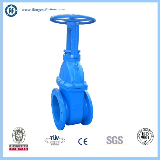 HARD SEAL GATE VALVE RISING STEM TYPE