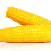 Double Packed Sweet Corn Cob