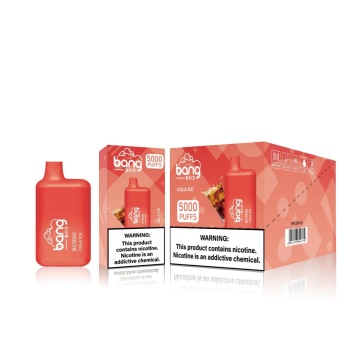 Bang BC 5000puffs bon prix Vape de haute qualité