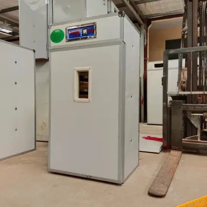 Swan Egg Incubator for Hatching Eggs