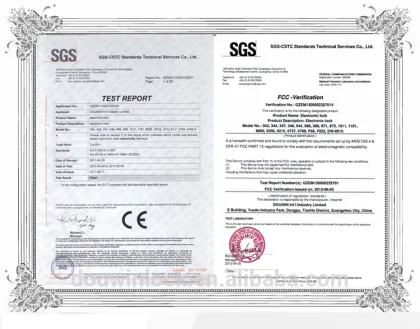 Electronic remote sliding door lock residential main gate lock