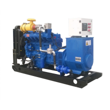 Conjunto de generador de gas natural de 50kW automático 4VBE34RW3