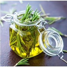 Pure Natural Rosemary Extract Rosemary Essence Oil