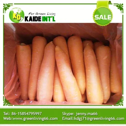 2016  Health Benefits of Carrots organic