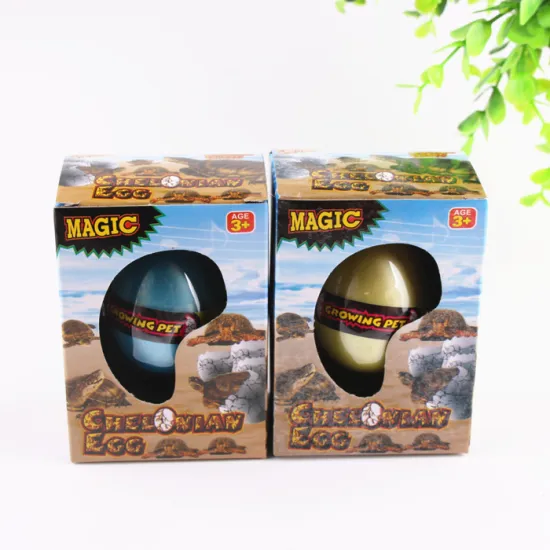 Growing tortoise eggs