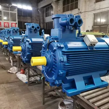 Explosion-Proof Asynchronous Electric Motor 30 kW 1500 RPM 55mm
