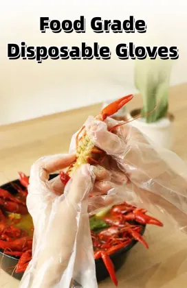 Customized Biodegradable Household Gloves: Thickened PE Disposable Plastics with Oil & Dirt Resistance
