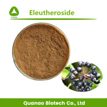 Extracto de ginseng siberiano puro en polvo de eleutherosido 0.8%