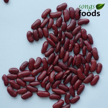 Hot Selling Dark Red Kidney Beans Specification