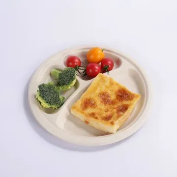 Eco Friendly 9 Inch 3 Compartment Bagasse Plate