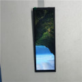 Display LCD TFT da 7,84 pollici