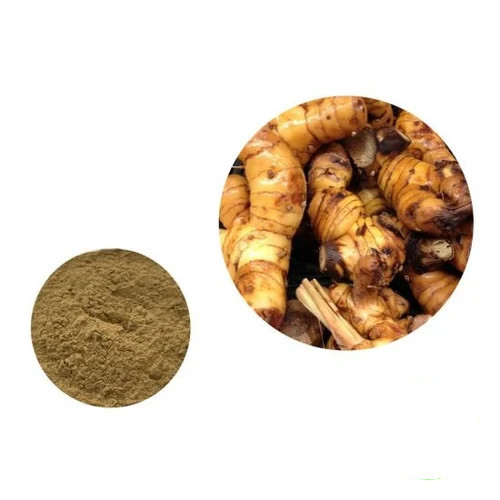Pure Natural Galangal Extract
