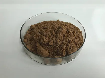 Hot Sell Agaricus Bisporus Mushroom Extract Powder