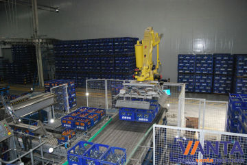 Fully Automatic Robotic Bag Palletizing Line With Ball Screw