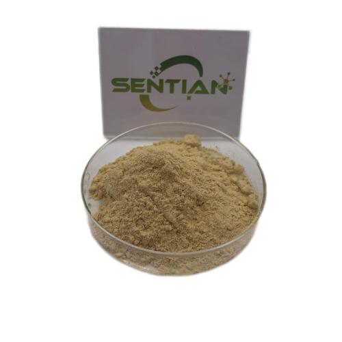 Okra seed extract powder Water soluble Okra extract