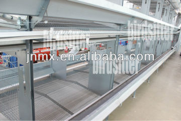 Most popular chicken hens cages laying for sale