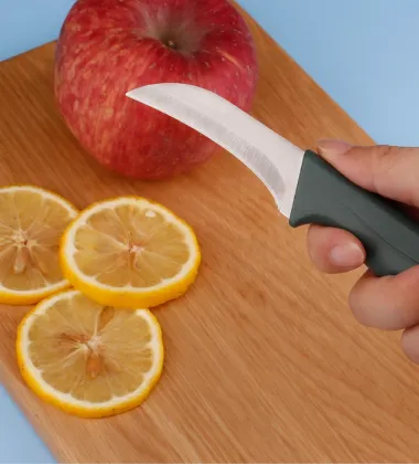High-Quality Small Fruit Knife with Plastic Handle and Eagle Design
