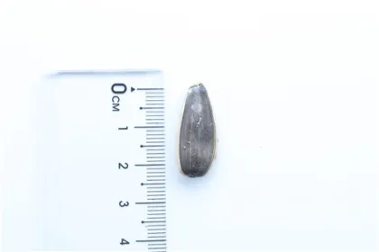 raw material 363 sunflower seeds