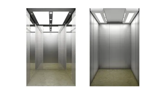 Passenger Elevator and Passenger Lifts