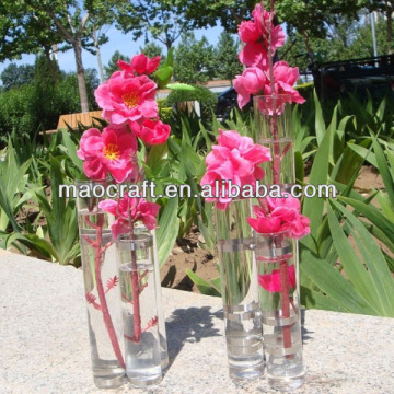 glass tube connected vase