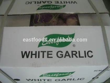 Fresh White Garlic