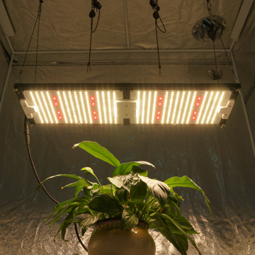 QB288 v3 Panel Board LED Grow Light 240W Samsung LM301H & XP-E2 660nm for 2x4ft Tent