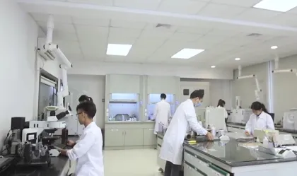 Plastic/plastic, plastic/aluminum composite adhesive