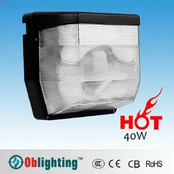 PC Cover induction outdoor wall lighting