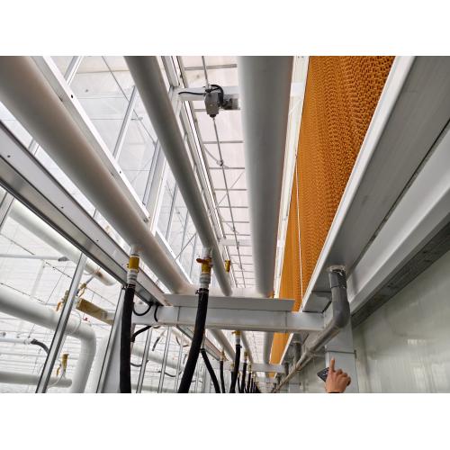 Semi Closed Greenhouse for Climate Control