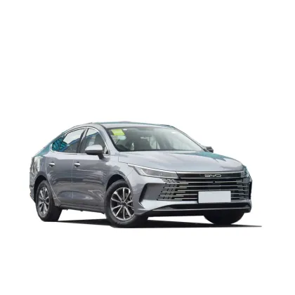 2024 BYD Qu Zhu Jian: High-Quality Chinese Electric Vehicle