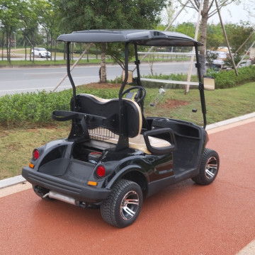 2 seats electric golf carts for sale