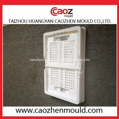 Plastic Injection Turn Over Box/Folding Crate Mould