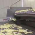 Fully Automatic French Fries Production Line