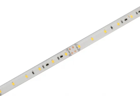 SMD2835 30 LEDs/M IP65 waterproof strip