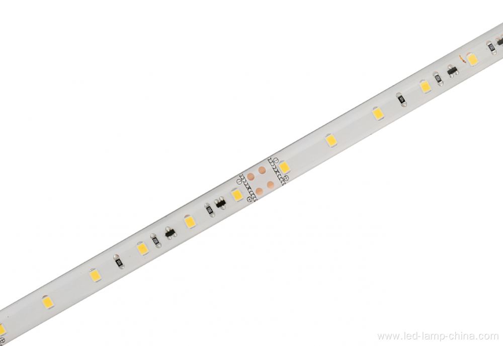 SMD2835 30 LEDs/M IP65 waterproof strip