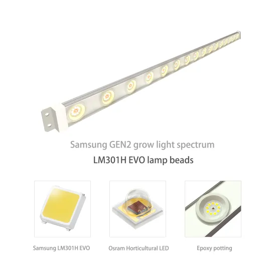 Lettuce and Basil Container Hydroponic System with High-Power LM301H LED Grow Light