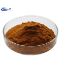 Competitive Price Ganoderma Lucidum Extract Powder