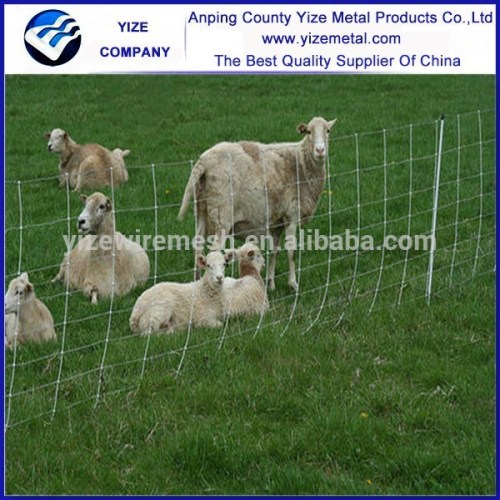 hog wire mesh fence with t post for farm