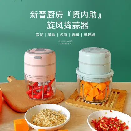 Gloway Mini USB Electric Kitchen Gadget - Onion Crusher, Garlic Mincer, Meat Cutter, Food Chopper for Fruits and Vegetables (100ml/250ml)